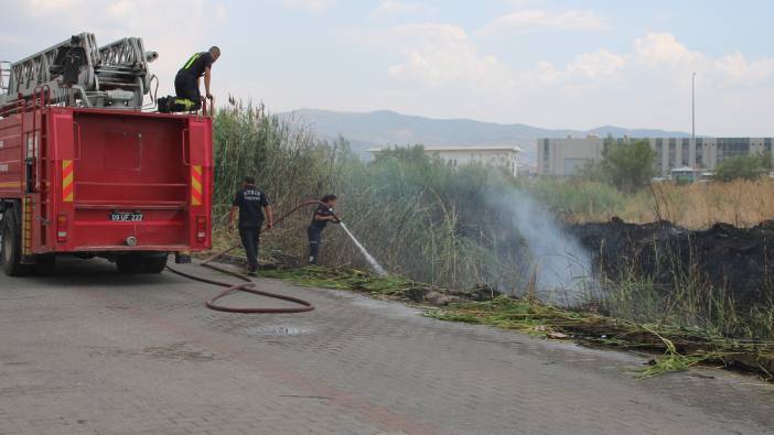 Aydın Efeler'de sazlık alanda yangın