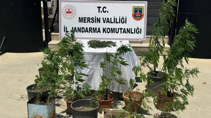 Mersin'de uyuşturucu operasyonu