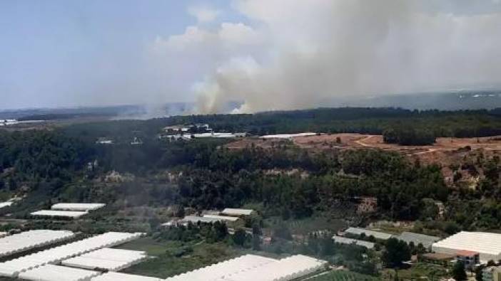 Antalya'da orman yangını