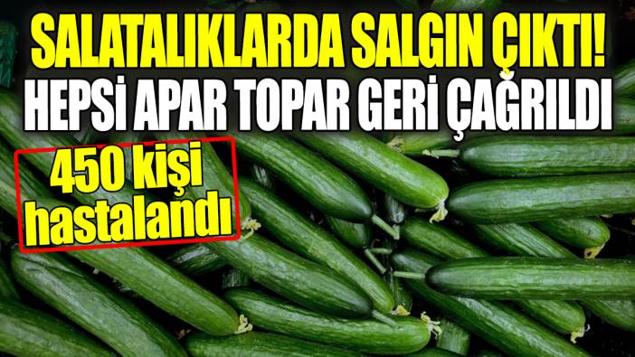 Salatalıklarda salgın çıktı! Hepsi apar topar geri toplandı. Evine sokan koştur koştur dışarı attı