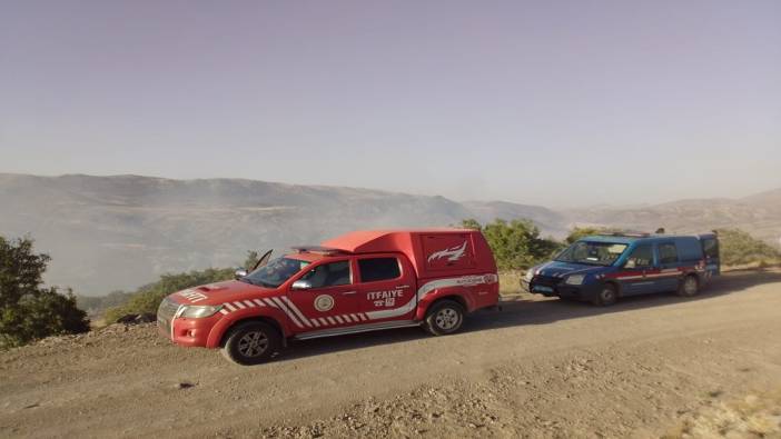 Malatya ormanları alevlere teslim oldu