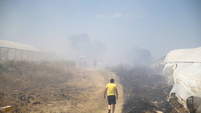 Antalya'da yangın