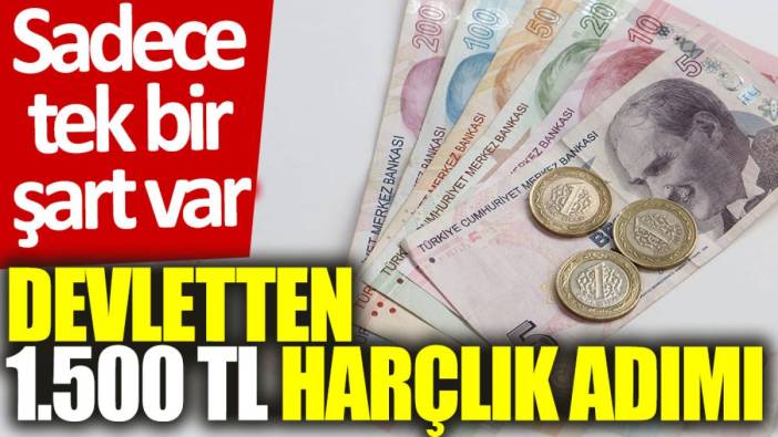 Devletten 1.500 TL harçlık adımı: Sadece tek bir şart var