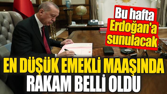 En düşük emekli maaşında net rakam belli oldu! Bu hafta Erdoğan'a sunulacak