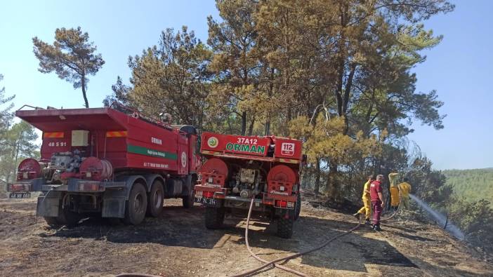 Muğla'da Milas yangını söndürüldü