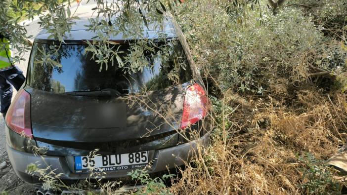 Yol kenarındaki ağaca çarpan otomobilin sürücüsü yaşamını yitirdi