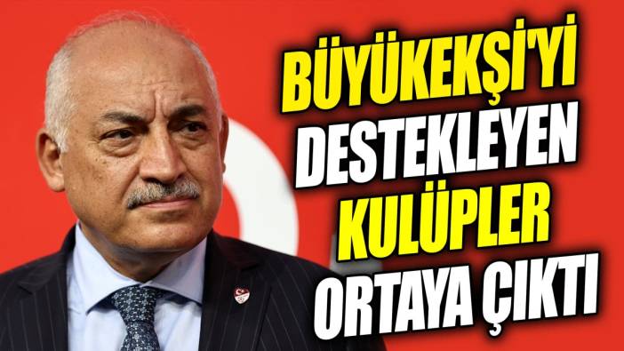 Mehmet Büyükekşi'yi destekleyen kulüpler ortaya çıktı