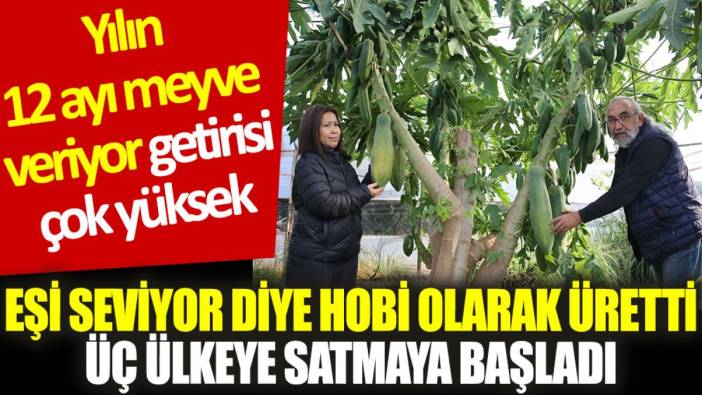 Eşi seviyor diye hobi olarak üretti, üç ülkeye satmaya başladı