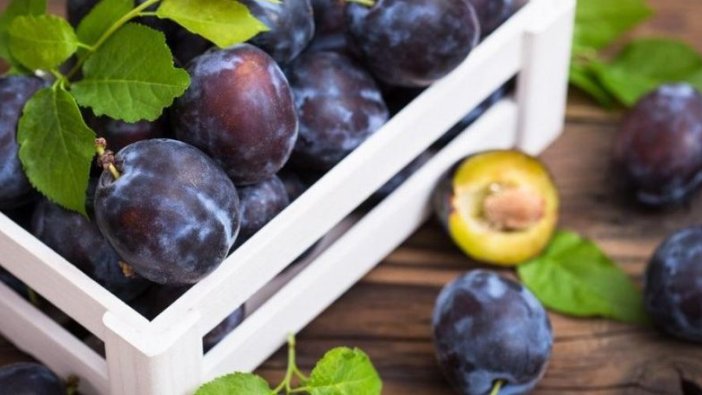 Erik neye iyi gelir? Eriğin faydaları neledir?