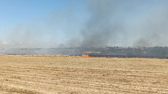 Tekirdağ'da anız yangını