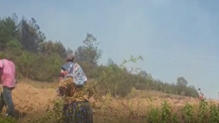 Dursunbey'de orman yangını!