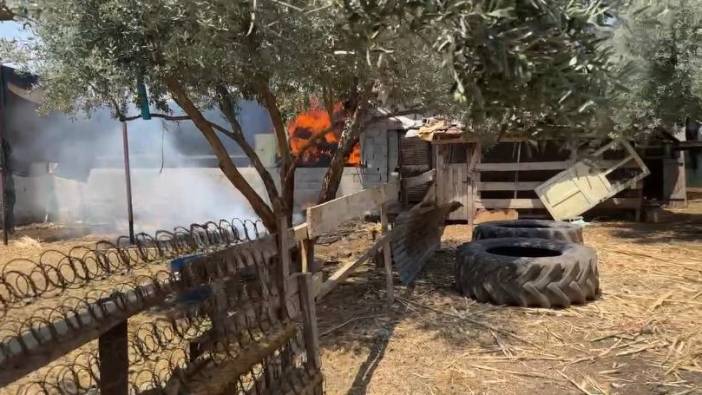 Samanlık yangını büyümeden kontrol altına alındı