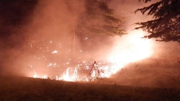 Edirne'de ağaçlık alanda yangın çıktı