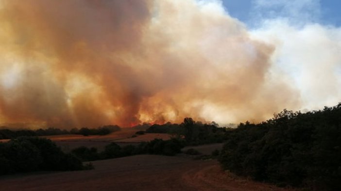 Bursa'daki orman yangınıyla ilgili 3 gözaltı