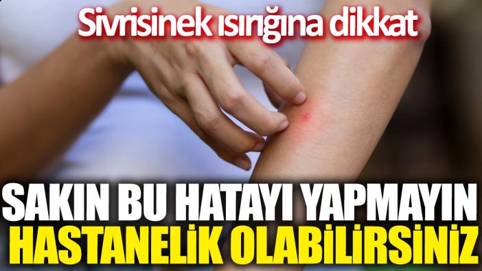 Sivrisinek ısırığına dikkat! 'Sakın bu hatayı yapmayın'