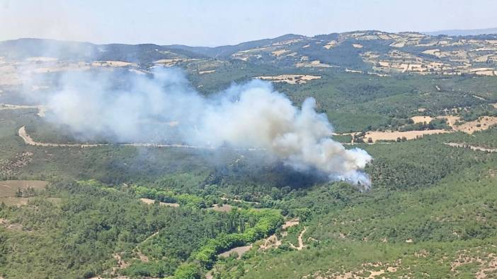 Balıkesir'de orman yangını