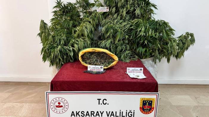 Aksaray'da uyuşturucu operasyonu: 1 tutuklama