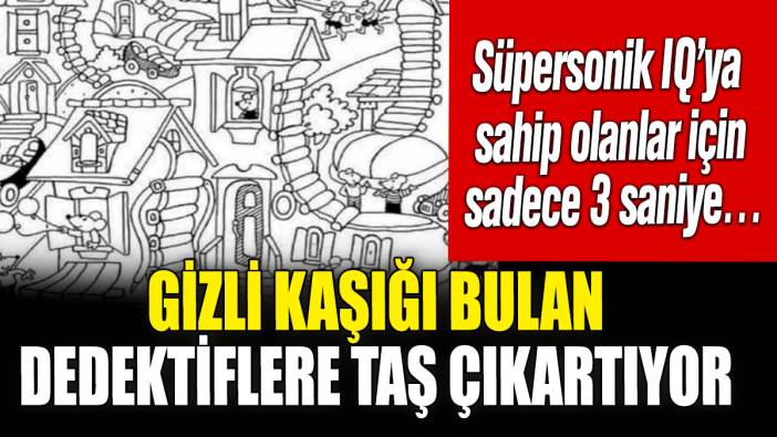 Gizli kaşığı bulan dedektiflere taş çıkartıyor! Süpersonik IQ’ya sahip olanlar için sadece 3 saniye…