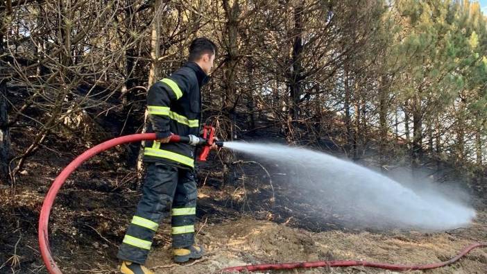 Samsun'da 6 ayda 371 anız yangını söndürüldü