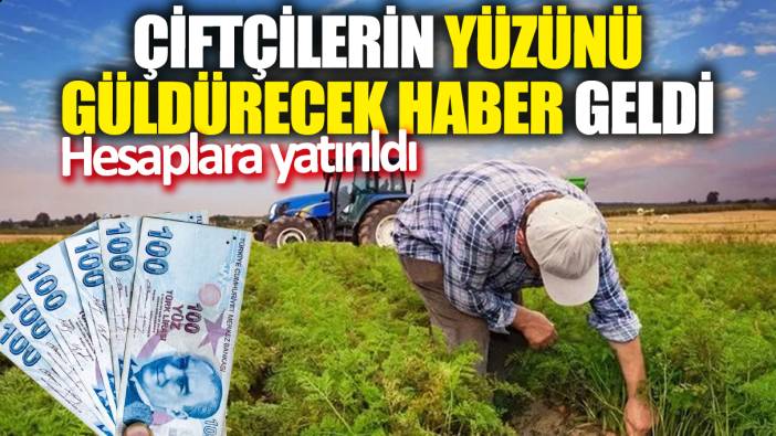 Çiftçilerin yüzünü güldürecek haber geldi! Hesaplara yatırıldı