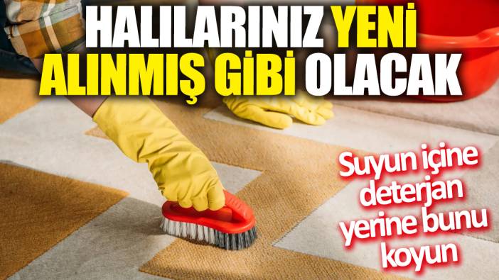Halılarınız yeni alınmış gibi olacak! Suyun içine deterjan yerine bunu koyun