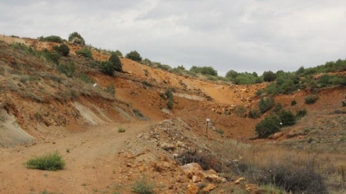 Eskişehir'de 200 bin ağaç kesilecek!