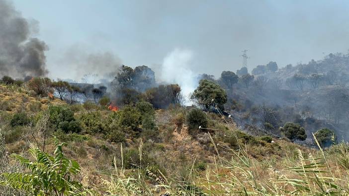 Tekirdağ'da Şarköy'de yangın