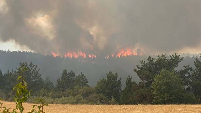 Kastamonu'da orman yangını