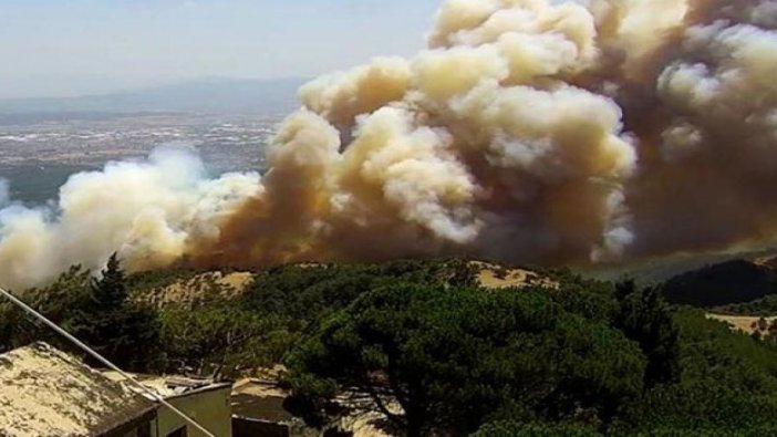 Karabağlar'da orman yangını