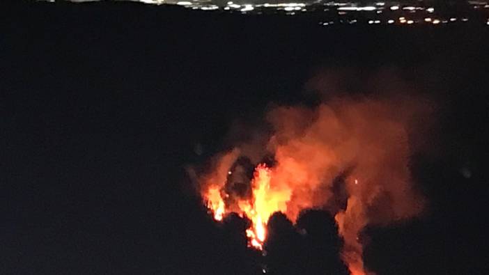 Sakarya'da orman yangını