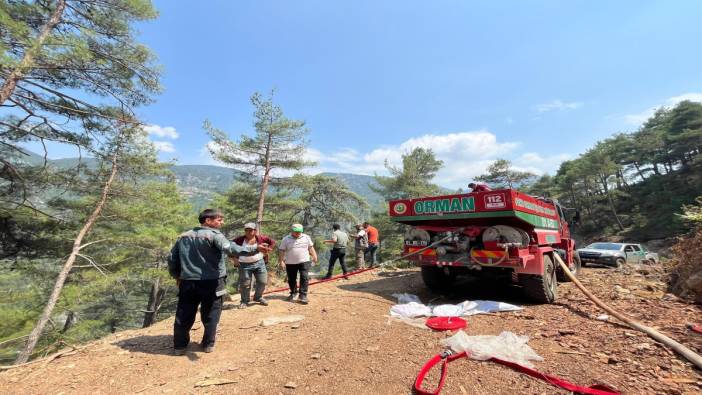 Adana'da ormanlar alevlere teslim oldu