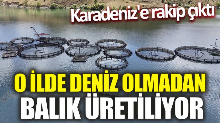 O ilde deniz olmadan balık üretiliyor! Karadeniz'e rakip çıktı