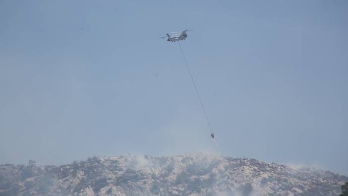 Muğla Milas'ta yangın