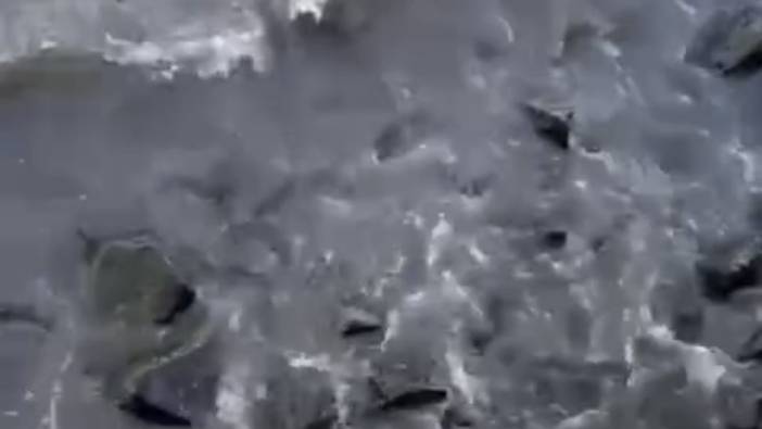 Çevre kirliliğine neden olan Bozcaada Belediyesi'ne ceza