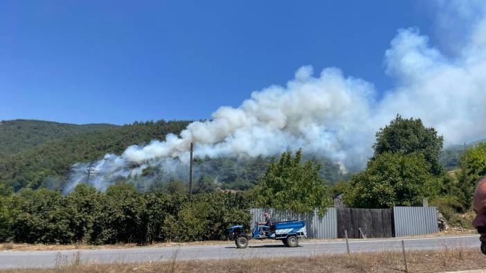 Sakarya'da yangın 10 hektar alan zarar gördü