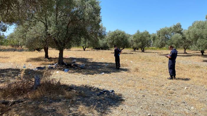 Manisa'da yaşlı adam zeytinlikte ölü bulundu