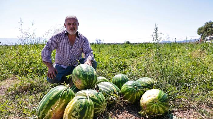 Üreticinin elinde kalan karpuzları belediye aldı