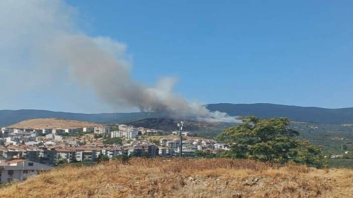 Balıkesir'de orman yangını