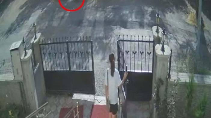 Sokak köpeklerinin küçük çocuğu kovaladığı anlar kamerada