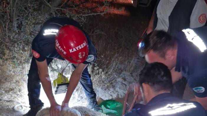 Kuyuya düşen koyun kurtarıldı