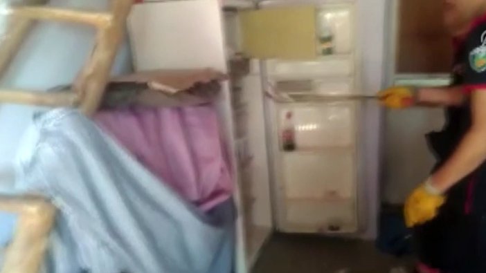 Eve giren yılan buzdolabında yakalandı