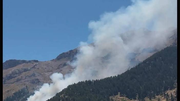 Kahramanmaraş'ta orman yangını