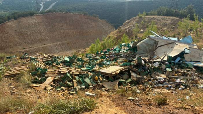 Sebze yüklü kamyonun devriildi: 1ağır yaralı