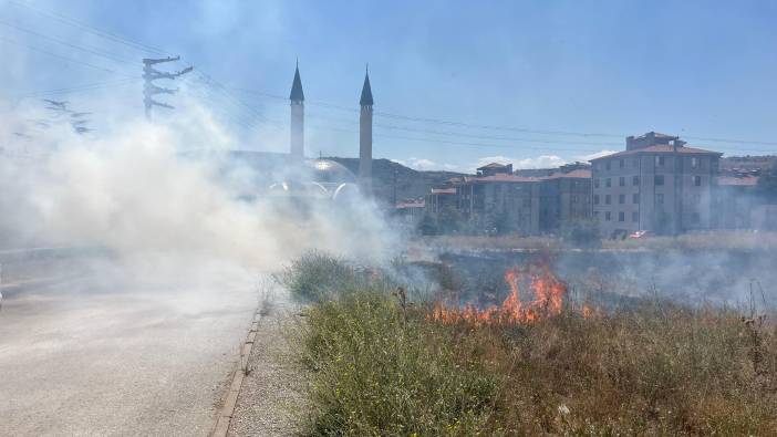 Eskişehir'de arazi yangını