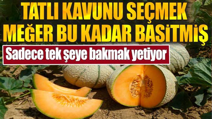 Tatlı kavunu seçmek meğer bu kadar basitmiş! Sadece tek şeye bakmak yetiyor