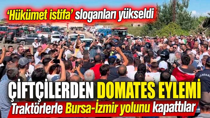 Çiftçilerden domates eylemi! Traktörlerle Bursa-İzmir yolunu kapattılar ‘Hükümet istifa’ sloganları yükseldi