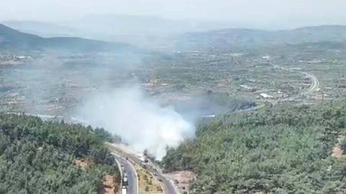 İzmir'de orman yangını