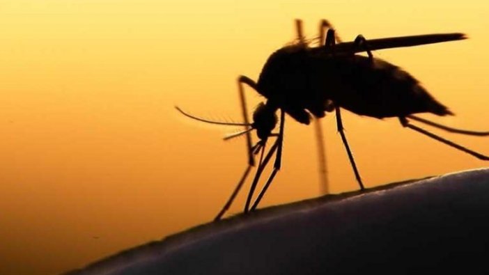 Sivri sineklerden koruyan kıyafet geliyor!