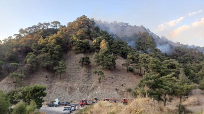 Manisa'da orman yangını