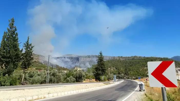 Mersin'de orman yangını